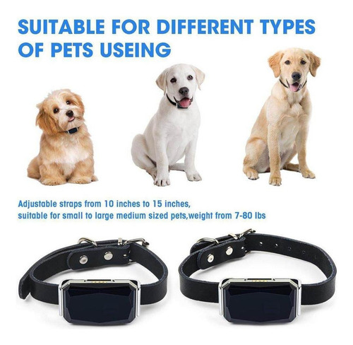Localizador De Cães E Gatos À Prova D'água Gps Rastreador