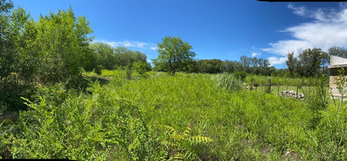 Imagen 5 de 6 de Cod 350: Lote De Gran Dimensión En Venta De 12000m2 Ubicado En Casa Grande