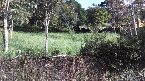 Imagem 1 de 7 de Lote A Venda Em Santo Antonio Do Pinhal - St-413-
