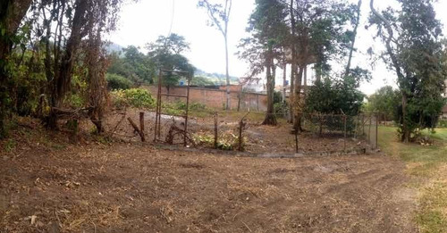 Imagen 4 de 14 de Finca En San Cristobal Chorro El Indio