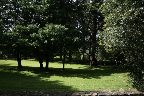 Imagen 8 de 30 de Espectacular Colina En Terreno En Venta