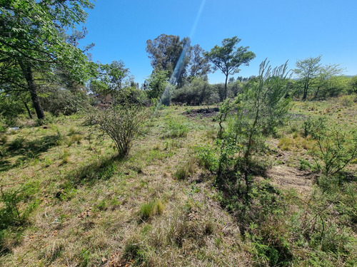 Lote Venta 630 M2 Buenas Vistas Excelente Ubicación Capilla Vieja Los Reartes