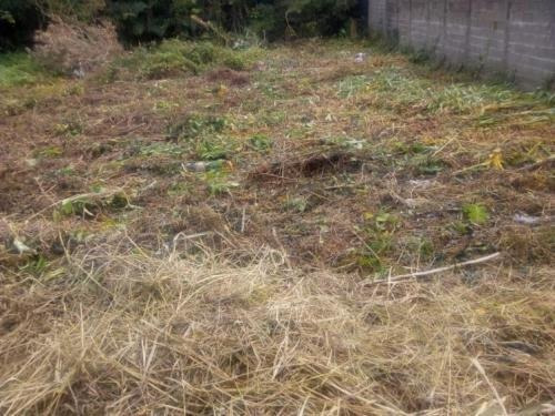 Terreno De Frente Para A Rodovia Em Itanhaém-sp (mx)