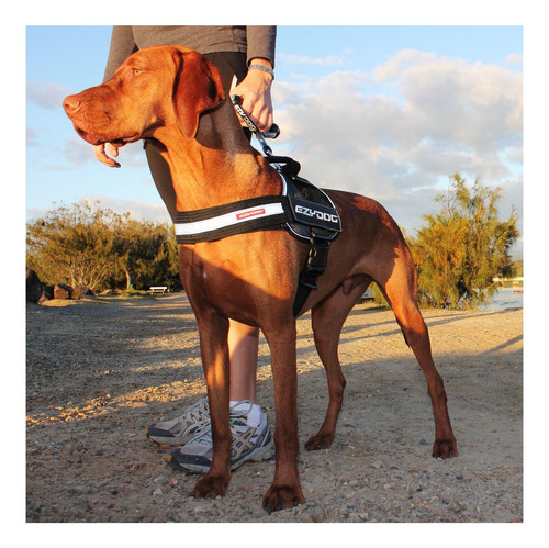 Arnés De Perro Listo Para El Sendero Ezydog Convert, Carbón) Carbón.