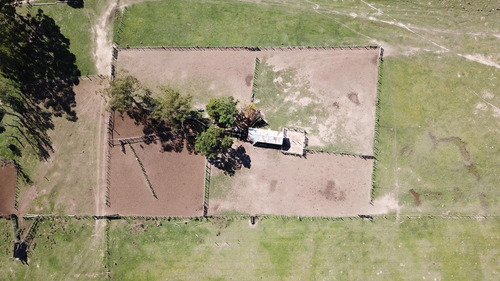 Alquiler Campo Paso De Los Libres