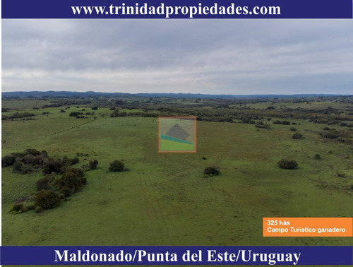 Imagen 10 de 14 de 325 Hás Campo Ganadero Criador