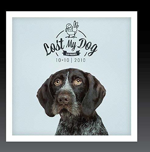 Cd Lost My Dog 10x10 - 2010 - Artistas Varios