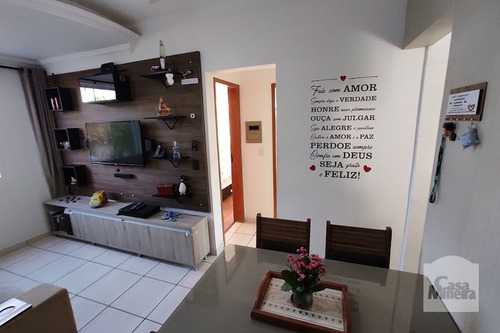 Imagem 3 de 15 de Apartamento À Venda No Linda Vista - Código 368084 - 368084