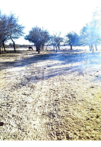Campo De 593 Has En Puerto Alegre, San Luis