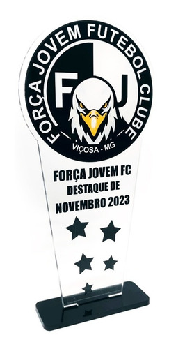 22 Troféus Personalizados Em Acrílico 20x10 Promocional