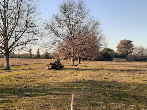 Imagen 1 de 5 de Gran Chacra En Venta En Chacras De Robles, Exaltación De La Cruz