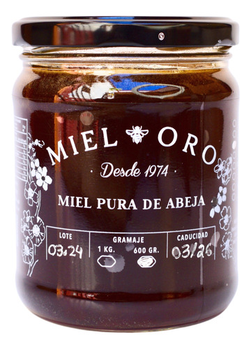 Miel De Abeja De La Costa 600gr, Miel Oro