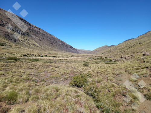 Venta De Estancia En Ruta Provincial 21, Kilómetro 31, Departamento Picunches, Paraje Huarenchenque