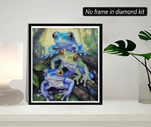 Skryuie 5d Diamond Painting Tricolor Frog Full Drill By Numb