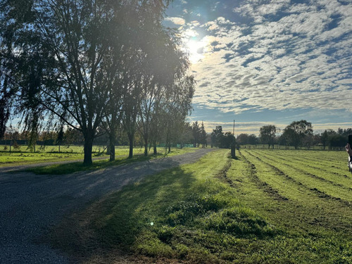 Lote En Venta En Manzanares