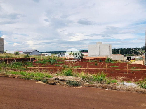 Imagem 3 de 5 de Terreno À Venda, Floresta - Cascavel/pr - 11234