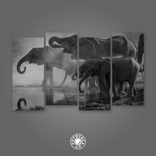 Cuadro Decorativo Mural Elefantes En El Rio 120x60cm Pvc 5mm