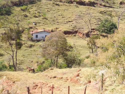 Imagem 3 de 28 de Fazenda 80 Alqueires Sendo 20 Alqueires Mata App, Casa Sede(em Reforma) E Caseiro Agua Nascente Riacho - Fa00019 - 69584449