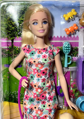 Conjunto Passeio Caminhada Com Animais De Estimação - Boneca Menina Barbie Loira E Animal Cão Cachorro Cachorrinho Labrador Cadeira De Rodas Com Acessórios Pet - Mattel Brinquedos
