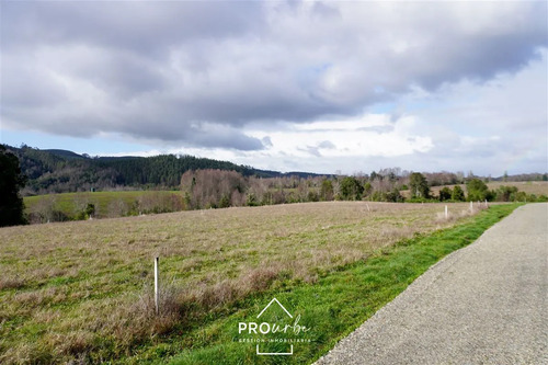 Terreno 5.000 M2 En Venta En Paillaco