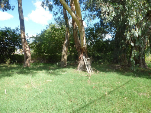 Imagen 7 de 10 de Terreno En Venta En City Bell Calle 481 Bis E/ 8 Y 10 - Dacal Bienes Raices