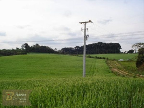 Imagem 1 de 13 de Rural Chacara Com 1 Quarto - 501-v