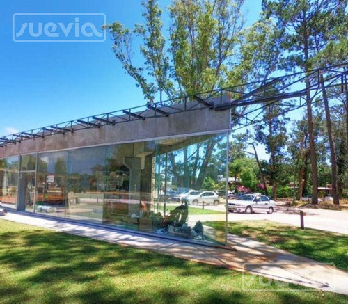 Local - Portezuelo