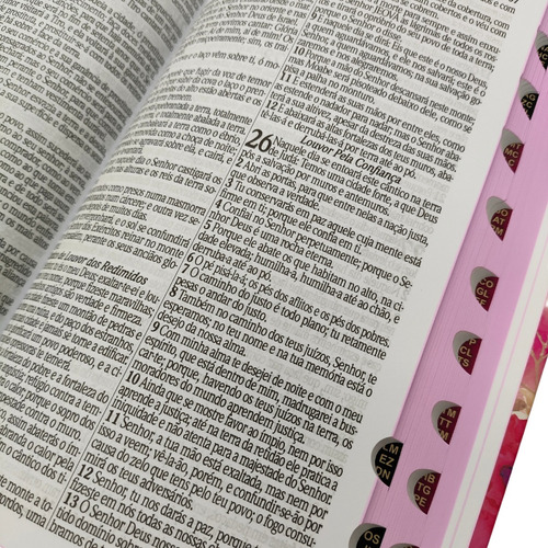 Bíblia Sagrada Rc Letra Gigante Com Harpa E Corinhos Capa Dura Floral Rosa Com Índice Lateral