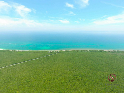 Imagen 4 de 5 de Lote Comercial En Nueva Fase De Tulum A Unos Minutos De La P