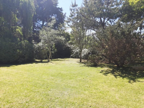 Imagen 13 de 16 de Quinta - La Plata