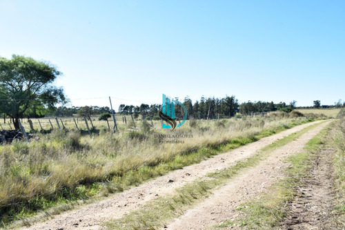 Venta Chacra Ruta 11 Km. 152. 3 Hás. 4735m