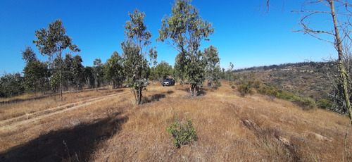 9 Terrenos De 1ha Hasta 42ha Total Aprox: 130ha La Rudilla