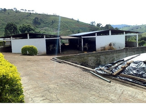 Imagem 7 de 20 de Belíssima Propriedade Em Santo Antonio Do Pinhal - St-468
