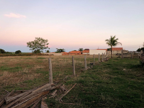 Imagem 6 de 10 de Chácara De 8100 M2 A Venda Dentro Da Cidade