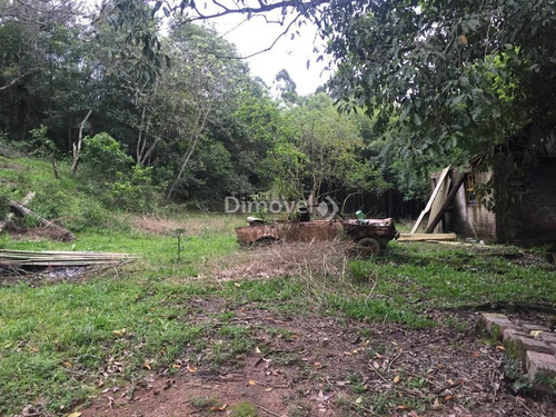 Imagem 7 de 13 de Sitio - Belem Velho - Ref: 21727 - V-21727