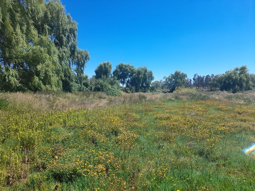 Se Vende Parcela De 4 Ha Camino Punta Diamante, San Clemente