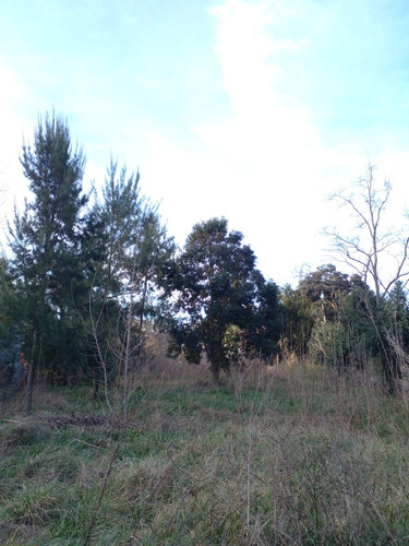 Venta De Lote En BÂș La Dolly - Coronel Brandsen.