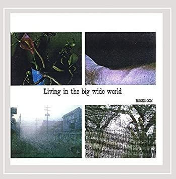 Hoffmann Andi & B-goes Living In The Big Wide World Cd