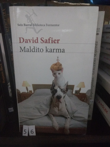 Maldito Karma David Safier
