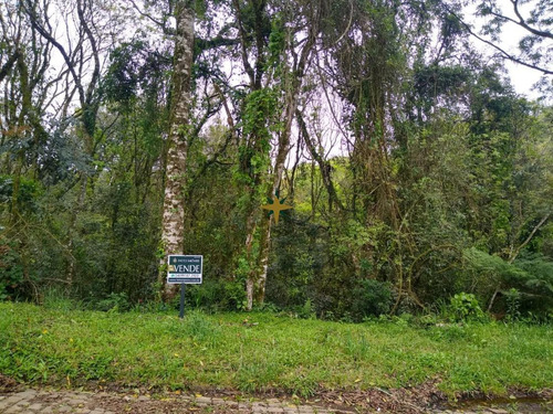 Imagem 1 de 4 de Terreno Em Canela - 756