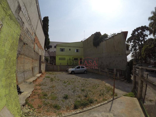 Imagem 6 de 6 de Terreno À Venda, 288 M² Por R$ 550.000,00 - Vila Carmosina - São Paulo/sp - Te0135
