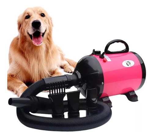 Secador Para Pelos Mascotas Peluquería De Perros Gato 2800w