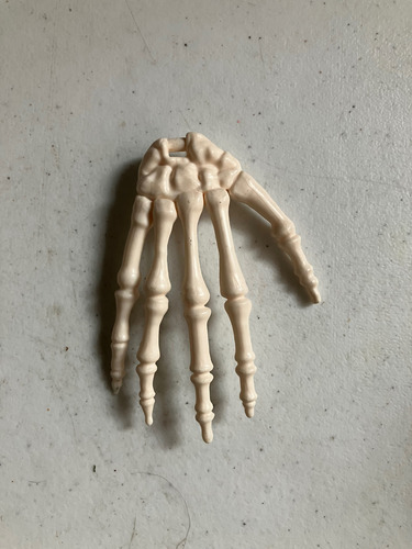 Colección: El Cuerpo Humano (sin Postes Y Sin Base) (Usado)