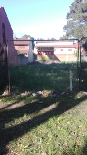 Imagen 1 de 5 de Lote De Terreno