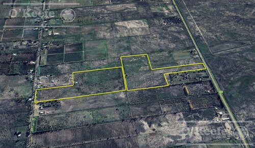 Oportunidad Venta De 2 Fincas Aledañas En Cañada Seca , San Rafael , Mendoza. Frutihorticola, Forrajes, Turismo,