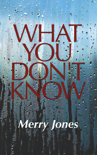 What You Don't Know, De Jones, Merry. Editorial Bloch Books, Tapa Blanda En Inglés
