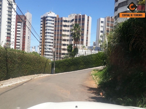 Imagem 7 de 11 de Terreno Para Empreendimentos - Te00431 - 69440812
