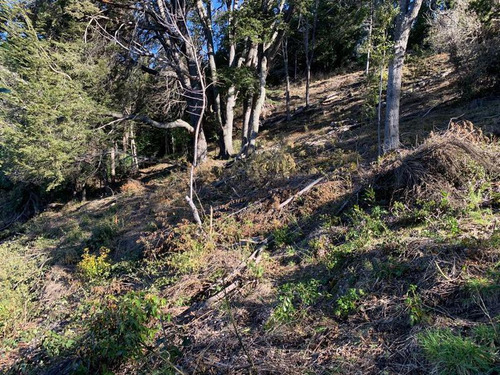 Lote Sobre Costa De Lago Km 21 Campanario