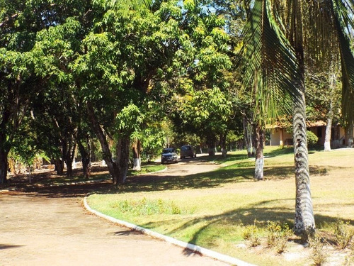 Oportunidade Sítio - 2164