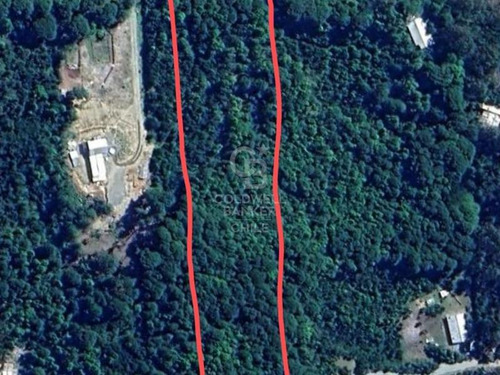 1,6 Hectáreas De Bosque Nativo A 20 Minutos De Puerto Varas